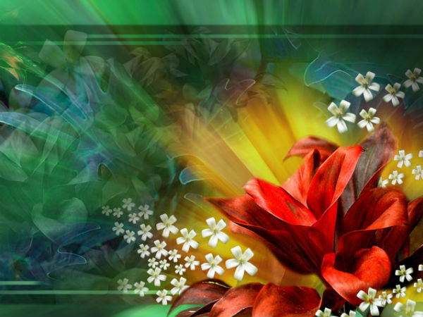 HD Wallpapers