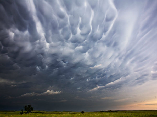 Real Twister Photos