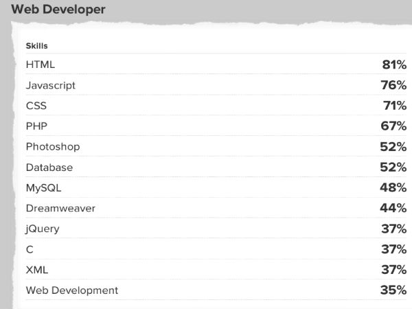 web developer