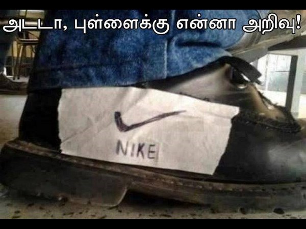 Online Trending Funny Pictures