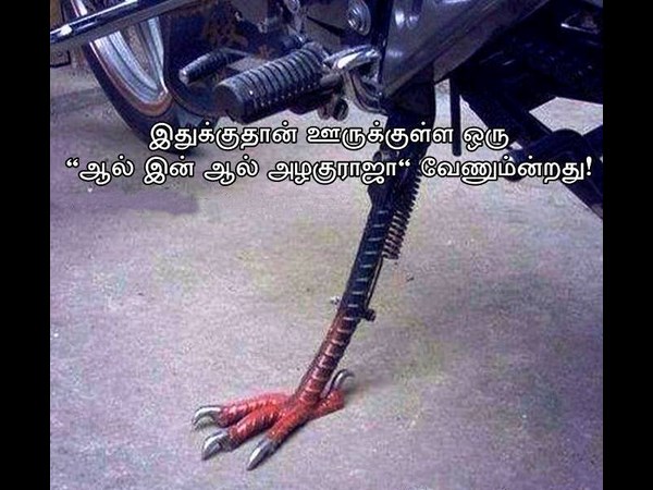 Online Trending Funny Pictures