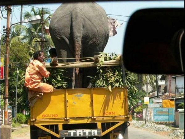 వింత వింత ఫోటోలు