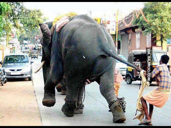 ఈ ఫన్నీ ఫోటోలను చూసి రిలాక్స్ అవ్వండి!