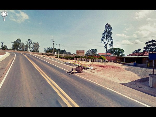 భయానక గూగుల్ స్ట్రీట్‌వ్యూ ఫోటోలు!