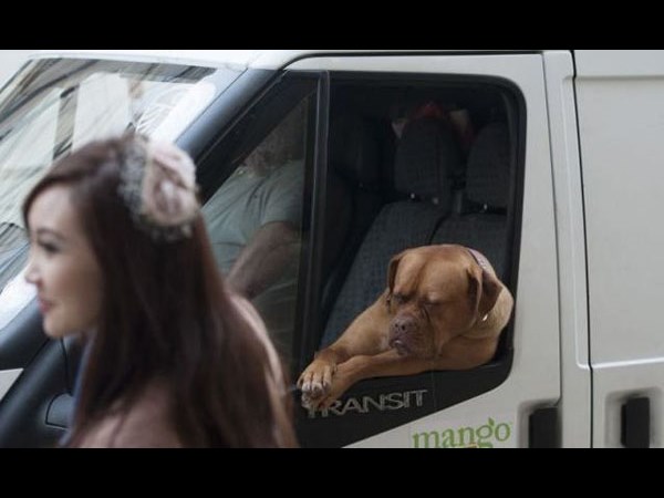 ఇంటర్నెట్‌లో హల్‌‍చల్ చేస్తున్న కామెడీ ఫోటోలు!