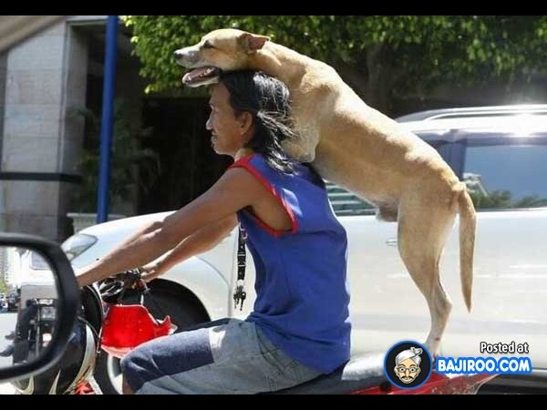 ఇంటర్నెట్‌లో హల్‌‍చల్ చేస్తున్న కామెడీ ఫోటోలు!