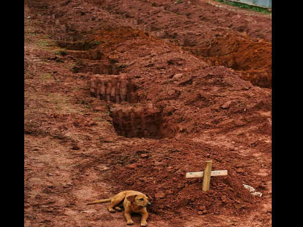 30 శక్తివంతమైన ఫోటోలు
