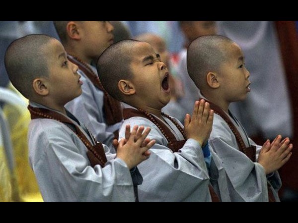 సోషల్ నెట్‌వర్కింగ్ సైట్‌లలో హల్ చల్ చేస్తున్న ఆసక్తికర ఫోటోలు