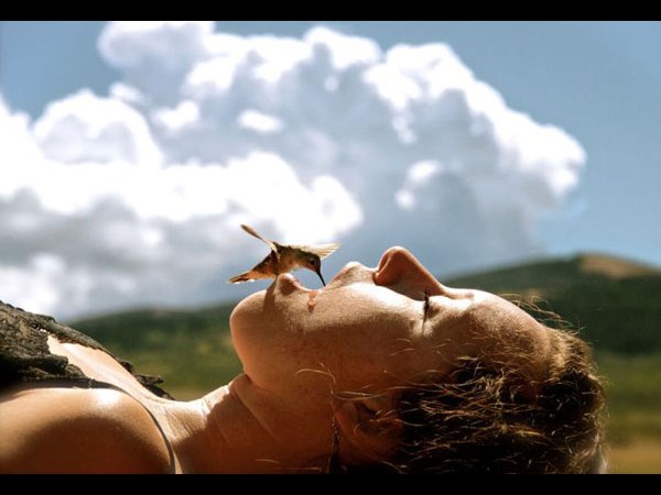 సోషల్ నెట్‌వర్కింగ్ సైట్‌లలో హల్ చల్ చేస్తున్న ఆసక్తికర ఫోటోలు