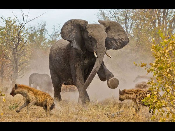 సోషల్ నెట్‌వర్కింగ్ సైట్‌లలో హల్ చల్ చేస్తున్న ఆసక్తికర ఫోటోలు