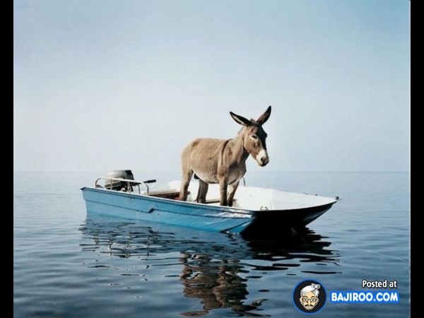 సోషల్ నెట్‌వర్కింగ్ సైట్‌లలో హల్ చల్ చేస్తున్న ఆసక్తికర ఫోటోలు