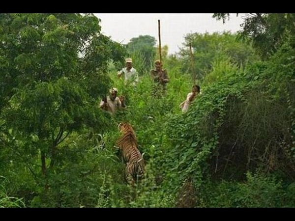 ఇంటర్నెట్లో ట్రెండ్ సృష్టిస్తున్న వైరల్ ఫోటోలు