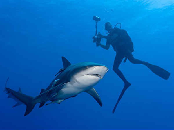 ప్రమాదపుటంచుల్లో ఫోటోగాఫర్లు..!