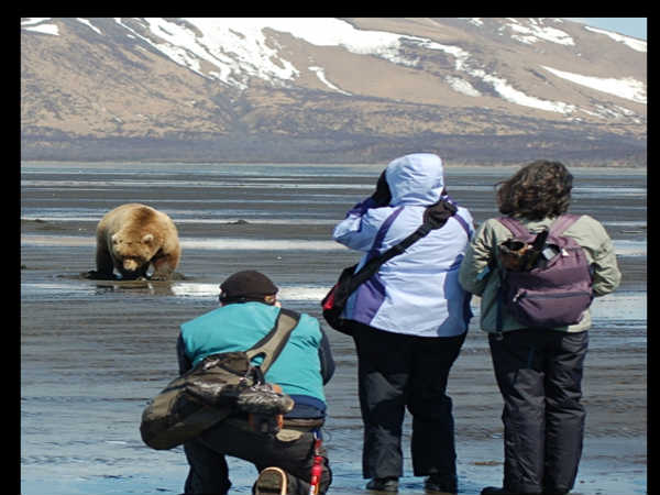 ప్రమాదపుటంచుల్లో ఫోటోగాఫర్లు..!