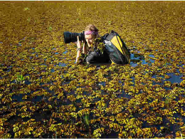 ప్రమాదపుటంచుల్లో ఫోటోగాఫర్లు..!