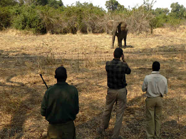 ప్రమాదపుటంచుల్లో ఫోటోగాఫర్లు..!