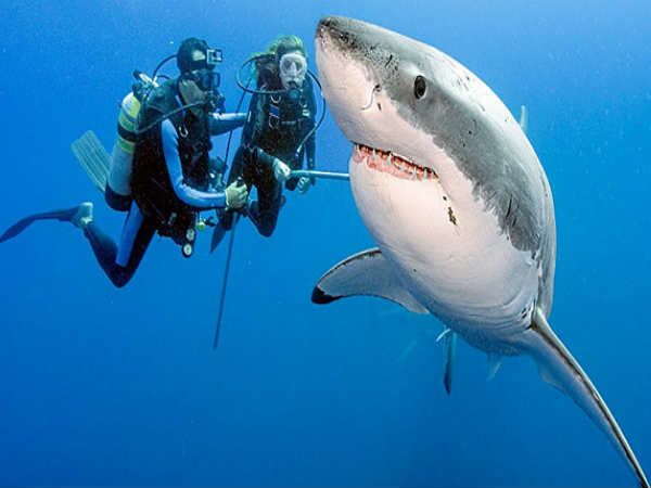 ప్రమాదపుటంచుల్లో ఫోటోగాఫర్లు..!