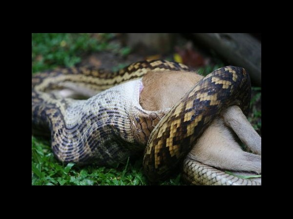 ఉత్కంఠభరిత ఫోటోల@సోషల్ మీడియా