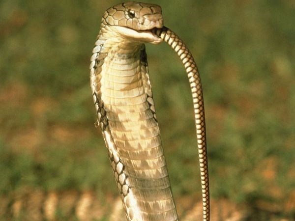 ఉత్కంఠభరిత ఫోటోల@సోషల్ మీడియా