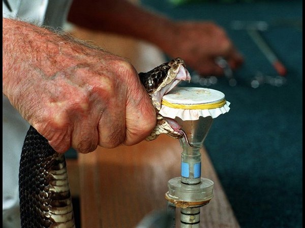 ఉత్కంఠభరిత ఫోటోల@సోషల్ మీడియా