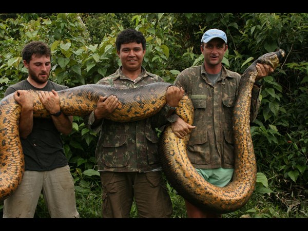 ఉత్కంఠభరిత ఫోటోల@సోషల్ మీడియా