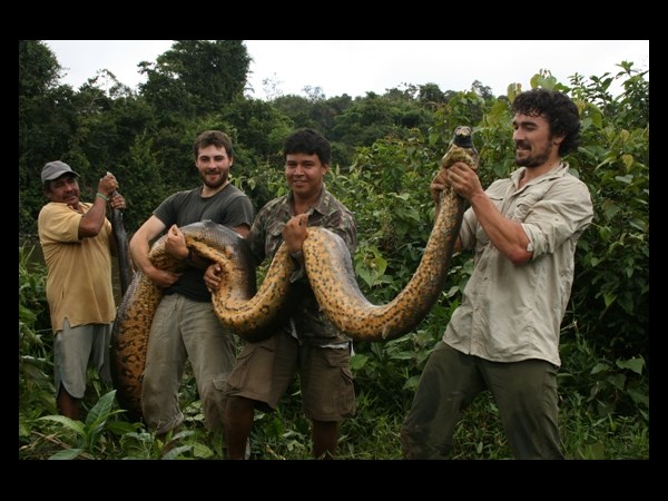 ఉత్కంఠభరిత ఫోటోల@సోషల్ మీడియా
