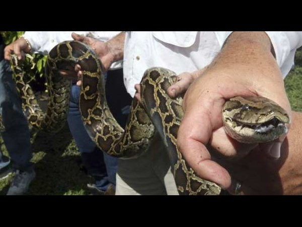 ఉత్కంఠభరిత ఫోటోల@సోషల్ మీడియా