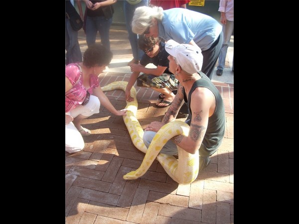 ఉత్కంఠభరిత ఫోటోల@సోషల్ మీడియా