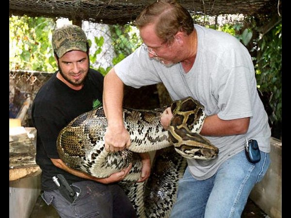 ఉత్కంఠభరిత ఫోటోల@సోషల్ మీడియా