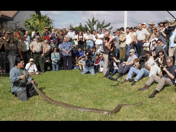 ఉత్కంఠభరిత ఫోటోల@సోషల్ మీడియా