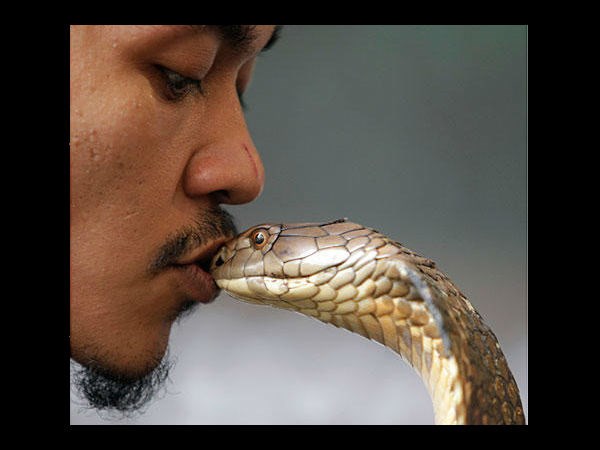 ఉత్కంఠభరిత ఫోటోల@సోషల్ మీడియా