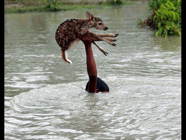 సోషల్ మీడియా థ్రిల్లింగో ఫోటోగ్రఫీ
