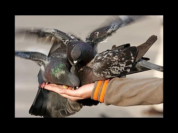 సోషల్ మీడియా థ్రిల్లింగో ఫోటోగ్రఫీ