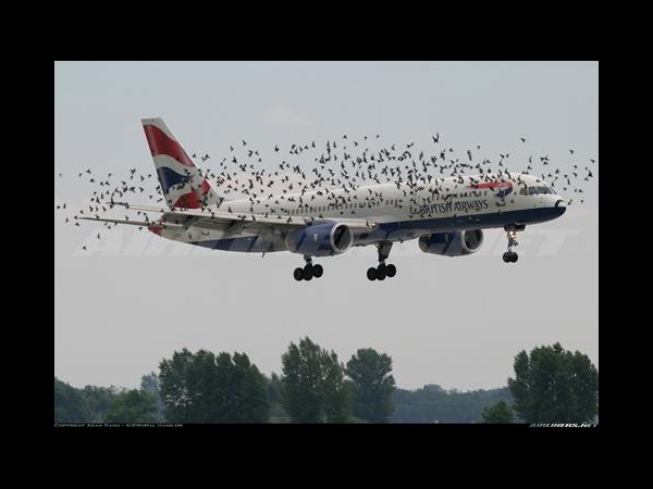 ఇంటర్నెట్‌లో హల్‌చల్ చేస్తున్న పలు ఆసక్తికర ఫోటోలు