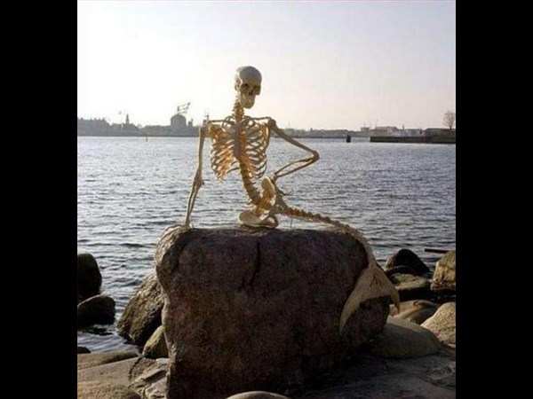 ఇంటర్నెట్‌లో హల్‌చల్ చేస్తున్న పలు ఆసక్తికర ఫోటోలు