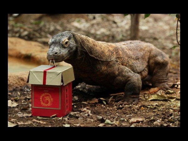 ఇంటర్నెట్‌లో హల్‌చల్ చేస్తున్న పలు ఆసక్తికర ఫోటోలు