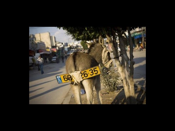 ఇంటర్నెట్‌లో హల్‌చల్ చేస్తున్న పలు ఆసక్తికర ఫోటోలు