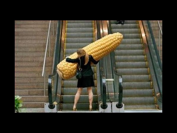 ఇంటర్నెట్‌లో హల్‌చల్ చేస్తున్న పలు ఆసక్తికర ఫోటోలు