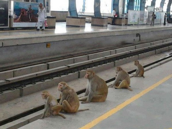 సోషల్ మీడియాలో ఫన్నీ ఫోటోగ్రఫీ