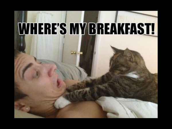 నవ్వులు పూయిస్తున్న సోషల్ మీడియా సిత్రాలు