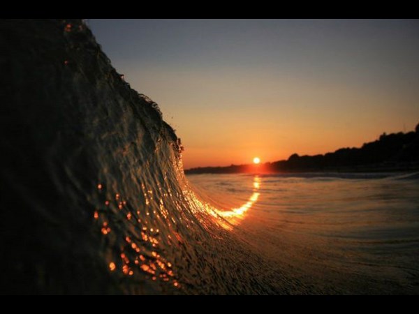 నవ్వులు పూయిస్తున్న సోషల్ మీడియా సిత్రాలు