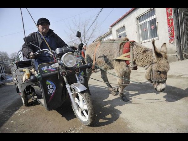 నవ్వులు పూయిస్తున్న సోషల్ మీడియా సిత్రాలు