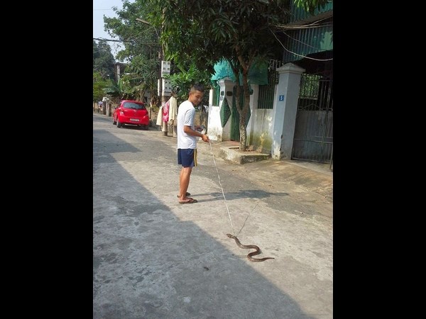 నవ్వులు పూయిస్తున్న సోషల్ మీడియా సిత్రాలు