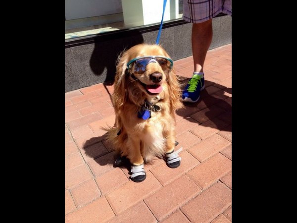 నవ్వులు పూయిస్తున్న సోషల్ మీడియా సిత్రాలు