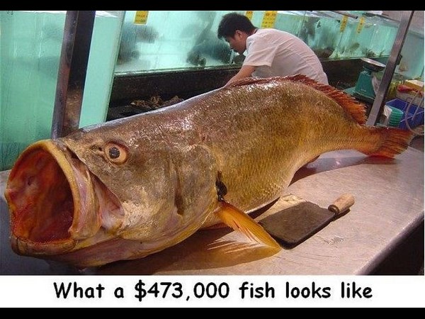 సోషల్ మీడియా సూపర్ కూల్ ఫోటోలు!