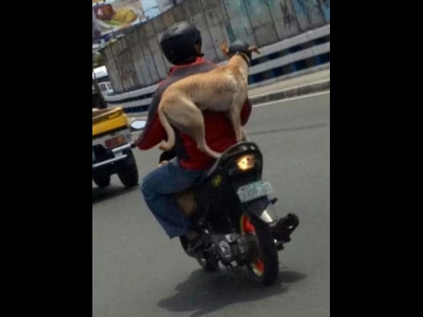 సోషల్ మీడియా సూపర్ కూల్ ఫోటోలు!