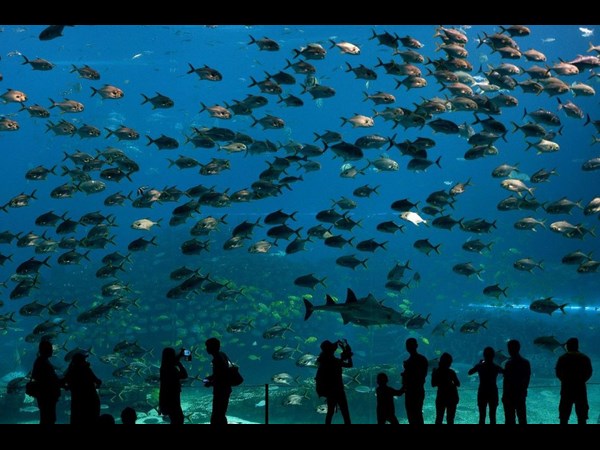 సోషల్ మీడియా సూపర్ కూల్ ఫోటోలు!