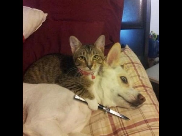 సోషల్ మీడియా సూపర్ కూల్ ఫోటోలు!