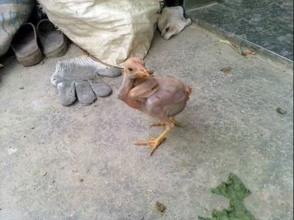 సోషల్ మీడియా సూపర్ కూల్ ఫోటోలు!