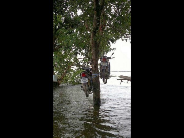 సోషల్ మీడియాలో సంచలనాత్మక ఫోటోలు!